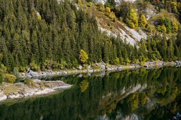 reflection of autumn forest in Lac du Taney