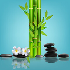 Naklejka na ściany i meble Spa concept with wellness and health therapy elements with banboo and flowers plumeria, vector illustration.