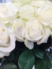 natural lovely white rose flower bouquet background