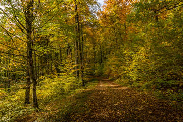Fantastic autumn hike in the beautiful Danube valley near the Beuron monastery