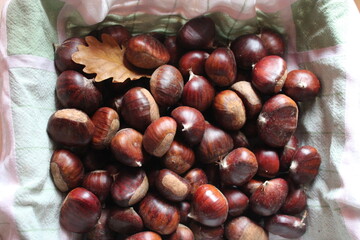 paniere di castagne
