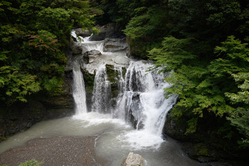 Fototapeta na wymiar 徳島県大轟の滝