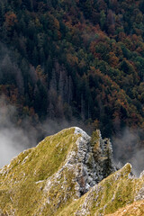 ridge at Le Grammont with autumn forest in the back