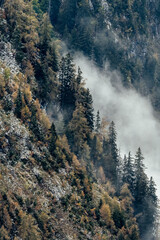 autumn forest at Le Grammont