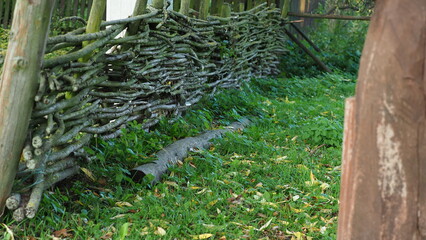 OLYMPUS DIGITAL CAMERA © Marta