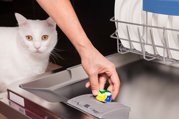 A tablet of a detergent for washing dishes in dishwashing machine in female hand with cat.