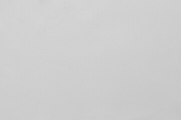 Light gray background with small sparkles and texture. (Macro focus on microtexture)