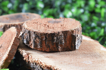 wooden discs on green leaves