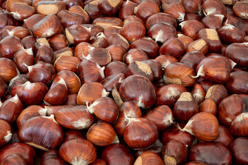 Sweet chestnut background for creative backdrop (Focus stacking)