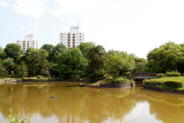 Fototapeta na wymiar 豊ヶ丘南公園