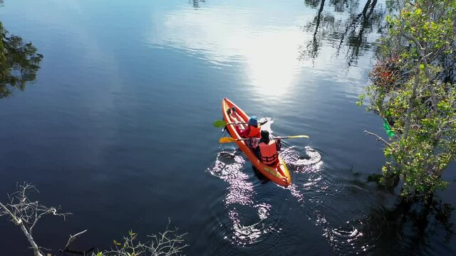 Aerial view of tourists, canoe or kayak in mangrove forests. Rayong Botanical Garden, tropical mangrove forest in a national park in Thailand. Holiday travel activities