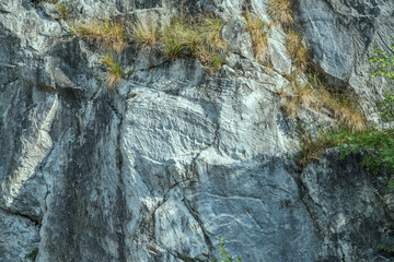 vegetation and traces of ancient work on vertical surface at historical marble quarry, Carrara, Italy