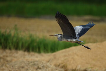 どこに行こうかな