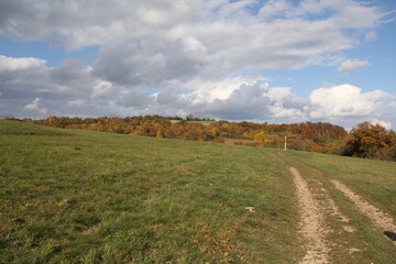 herbst