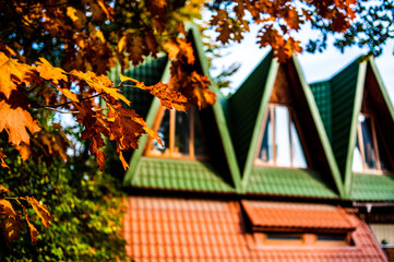 Autumn. Colorful leaves falling from trees. Wooden forest houses. Amazing landscape. Beautiful autumn views of the countryside by building elements.
