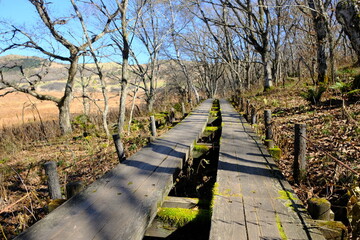 永遠に続く歩道