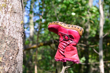 Children's shoes hanging on a tree in the forest. Abandoned footwear. Discarded rubber shoes. The problem of pollution and ecology. Concept of suicide, death or missing person.