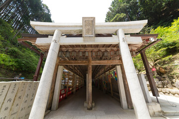 金峯山寺脳天大神龍王院の参道と鳥居