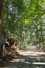 新緑の大峯奥駈道