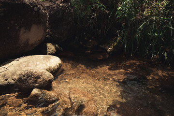 Peaceful river