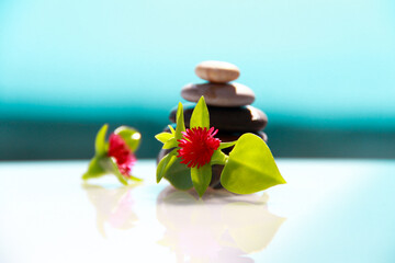 Pyramid of sea stones on an azure background with flowers.