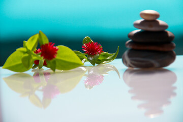 Pyramid of sea stones on an azure background with flowers.