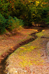 Riverbed in the park. Very little water is visible.