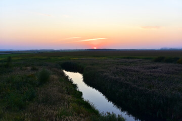 A small river in a field among swampy areas against a background of sunset