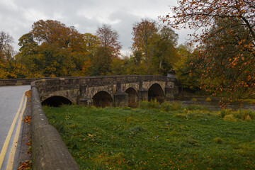 Fototapeta na wymiar Warm golden colours in autumn on the bank of the river ribble in Clitheroe. Edisford bridge and colourful autumn leaves in fall season