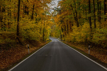 Herbstliche Stimmung im Nationalpark Hainich - Thüringen / Deutschland