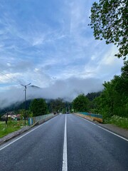 foggy road in the countryside