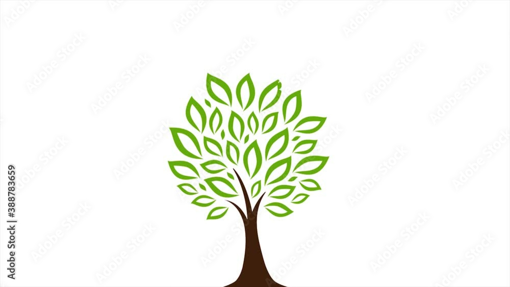 Poster abstract tree icon silhouette reveal animation/ 4k animation of an abstract minimal icon tree silhou