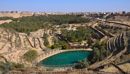 Oasis de Nefta con la ciudad de tozeur al fondo, Tunez