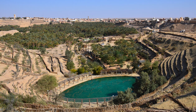 Oasis de Nefta con la ciudad de tozeur al fondo, Tunez