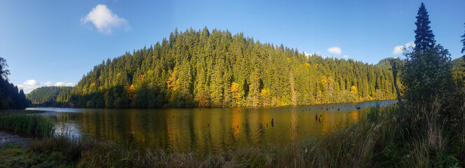 Nature landscape at Romania Lacu Rosu