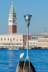 Fototapeta na wymiar Una garzetta in piedi su una briccola, tipico palo di legno della laguna di Venezia, con Palazzo Ducale e il campanile sullo sfondo