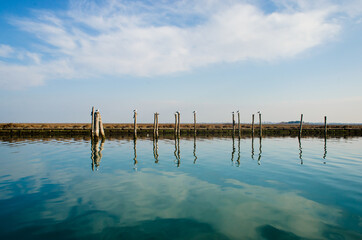 Gabbiani appollaiati sulle briccole, tipici pali della navigazione, in un canale della laguna di Venezia dalle parti di Burano © Andrea Vismara