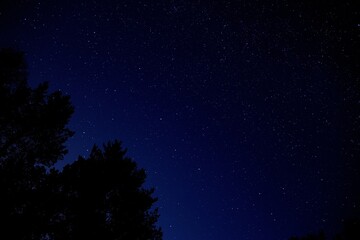 night starry sky