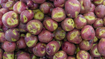 Image of harvested mambera potato, ready for sale in Tuluá Valle del Cauca Colombia