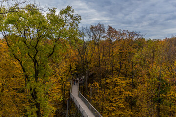 Herbstliche Stimmung im Nationalpark Hainich - Thüringen / Deutschland