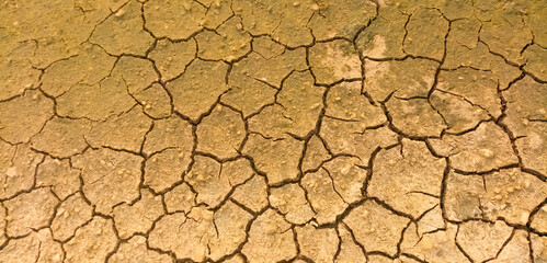 dry soil