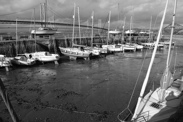 boats in the harbour