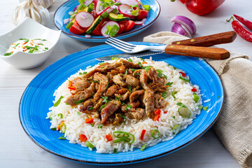 gyros with rice and green salad and zaziki