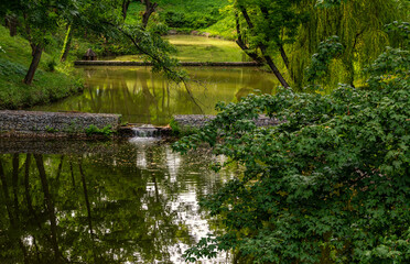 Park lakes surrounded by trees. Hiking. Landscape.