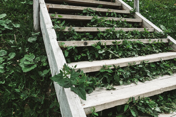Wooden stairs with grass and foliage growing under. Hard way to success through self-growth. Natural pathway for hiking or trekking to a top of a hill. Beautiful staircase in the park or forest.