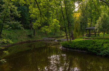 Park lakes surrounded by trees. Hiking. Landscape.