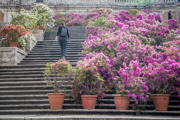 Spanish steps in the square of Spain in the early spring morning. Rome, Lazio, Italy.architecture, italy, landmark, piazza, 