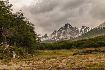 Ushuaia, Tierra del Fuego, Argentina - December 13, 2008: Martial Mountains in Nature Reserve. Green forest edge and brown grassland with snowy mountains under thick gray cloudscape.