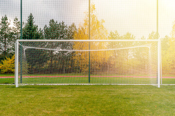 Fototapeta premium Gate on a soccer field