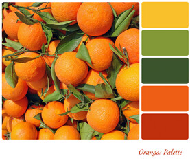 Oranges Palette